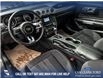 2021 Ford Mustang GT (Stk: P6530) in Olds - Image 24 of 25