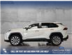 2019 Toyota RAV4 Limited (Stk: P13978) in Airdrie - Image 3 of 24