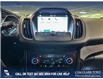 2017 Ford Escape SE (Stk: P13982) in Airdrie - Image 19 of 25