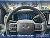 2023 Ford F-350 Lariat (Stk: P6604) in Olds - Image 14 of 25