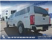 2023 Ford F-350 XLT (Stk: P6586) in Olds - Image 4 of 24
