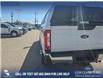 2023 Ford F-350 XLT (Stk: P6586) in Olds - Image 10 of 24