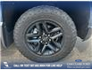2022 Chevrolet Silverado 1500 LTD LT Trail Boss (Stk: P6620) in Olds - Image 6 of 25