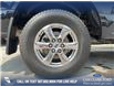 2020 Ford F-150 XLT (Stk: P1389) in Canmore - Image 6 of 25