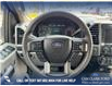 2020 Ford F-150 XLT (Stk: P1389) in Canmore - Image 14 of 25