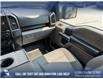 2020 Ford F-150 XLT (Stk: P1389) in Canmore - Image 25 of 25