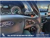 2021 Ford EcoSport SE (Stk: P1531) in Canmore - Image 15 of 24 2021 Ford EcoSport SE (Stk: P1531) in Canmore - Image 15 of 24