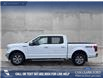 2020 Ford F-150 Lariat (Stk: P6769) in Olds - Image 3 of 25
