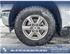 2020 Ford F-150 Lariat (Stk: P6769) in Olds - Image 6 of 25