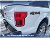 2020 Ford F-150 Lariat (Stk: P6769) in Olds - Image 10 of 25