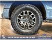 2023 Ford F-150 Tremor (Stk: P14625) in Airdrie - Image 6 of 24