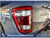 2023 Ford F-150 Tremor (Stk: P14625) in Airdrie - Image 10 of 24