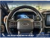 2023 Ford F-150 Tremor (Stk: P14625) in Airdrie - Image 13 of 24