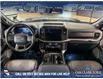 2023 Ford F-150 Tremor (Stk: P14625) in Airdrie - Image 23 of 24