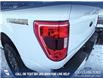 2023 Ford F-150 Tremor (Stk: P6806) in Olds - Image 11 of 25