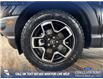 2023 Ford Bronco Sport Big Bend (Stk: P14683) in Airdrie - Image 6 of 25