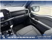 2023 Ford F-150 XLT (Stk: P6840) in Olds - Image 25 of 25