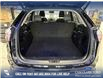2020 Ford Edge SEL (Stk: P1525) in Canmore - Image 11 of 24