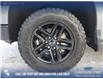 2023 Chevrolet Silverado 1500 LT Trail Boss (Stk: U37894) in Red Deer - Image 7 of 24