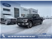 2020 Ford F-150 XLT (Stk: P6815) in Olds - Image 1 of 5