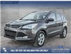 2015 Ford Escape SE (Stk: P6889) in Olds - Image 1 of 5