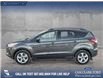 2015 Ford Escape SE (Stk: P6889) in Olds - Image 3 of 5