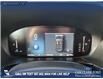 2024 Ford Escape ST-Line (Stk: U37872) in Red Deer - Image 14 of 23