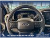 2023 Ford F-150 XLT (Stk: P14700) in Airdrie - Image 14 of 24