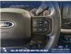 2023 Ford F-150 XLT (Stk: P14700) in Airdrie - Image 16 of 24
