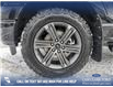 2023 Ford F-150 XLT (Stk: U37861) in Red Deer - Image 4 of 23
