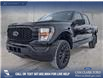 2023 Ford F-150 XL (Stk: P6862) in Olds - Image 1 of 23