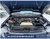 2023 Ford F-150 XL (Stk: P6862) in Olds - Image 10 of 23
