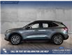 2022 Ford Escape PHEV Titanium (Stk: P14814) in Airdrie - Image 3 of 25