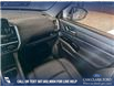 2023 Nissan Pathfinder Platinum (Stk: P14807) in Airdrie - Image 24 of 24 2023 Nissan Pathfinder Platinum (Stk: P14807) in Airdrie - Image 24 of 24