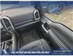 2017 Ford F-150 Lariat (Stk: P6905) in Olds - Image 24 of 24