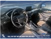 2021 Ford Escape Titanium Hybrid (Stk: U37944) in Red Deer - Image 6 of 7