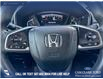 2018 Honda CR-V LX (Stk: P6887) in Olds - Image 16 of 25