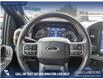 2023 Ford F-150 Tremor (Stk: U37930) in Red Deer - Image 14 of 25