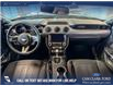 2020 Ford Mustang EcoBoost (Stk: P14825) in Airdrie - Image 24 of 25