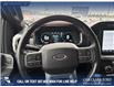 2021 Ford F-150 Lariat (Stk: P6926) in Olds - Image 13 of 23