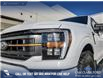 2023 Ford F-150 Tremor (Stk: U37892) in Red Deer - Image 8 of 25