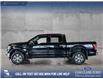 2017 Ford F-150 XLT (Stk: P14834) in Airdrie - Image 3 of 25