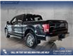 2017 Ford F-150 XLT (Stk: P14834) in Airdrie - Image 4 of 25