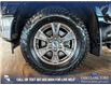 2017 Ford F-150 XLT (Stk: P14834) in Airdrie - Image 6 of 25