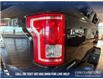 2017 Ford F-150 XLT (Stk: P14834) in Airdrie - Image 11 of 25
