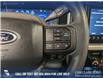 2024 Ford F-250 XLT (Stk: P14751) in Airdrie - Image 16 of 25