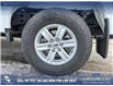 2023 Ford F-150 XLT (Stk: P6967) in Olds - Image 6 of 24
