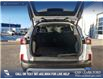 2024 Ford Escape Active (Stk: U37953) in Red Deer - Image 12 of 25