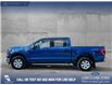 2023 Ford F-150 XLT (Stk: P1597) in Canmore - Image 3 of 25