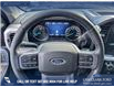 2023 Ford F-150 XLT (Stk: P1597) in Canmore - Image 14 of 25